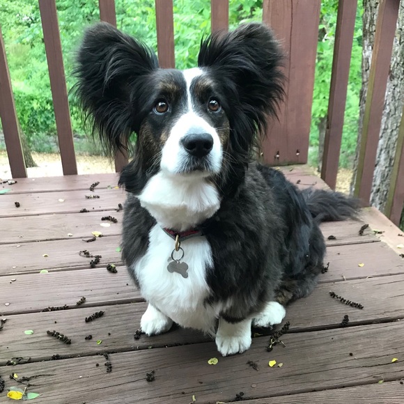 meet the seller! - Picture 2 of 5